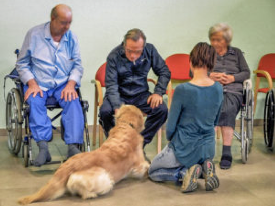 Interventi Assistiti dagli Animali – Pet therapy