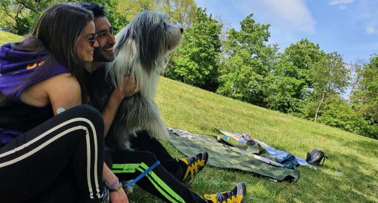 CALCOLARE L’ETA’ DEL TUO CANE!